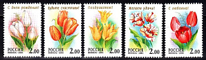 Россия, 2001, Тюльпаны, серия из 5 марок